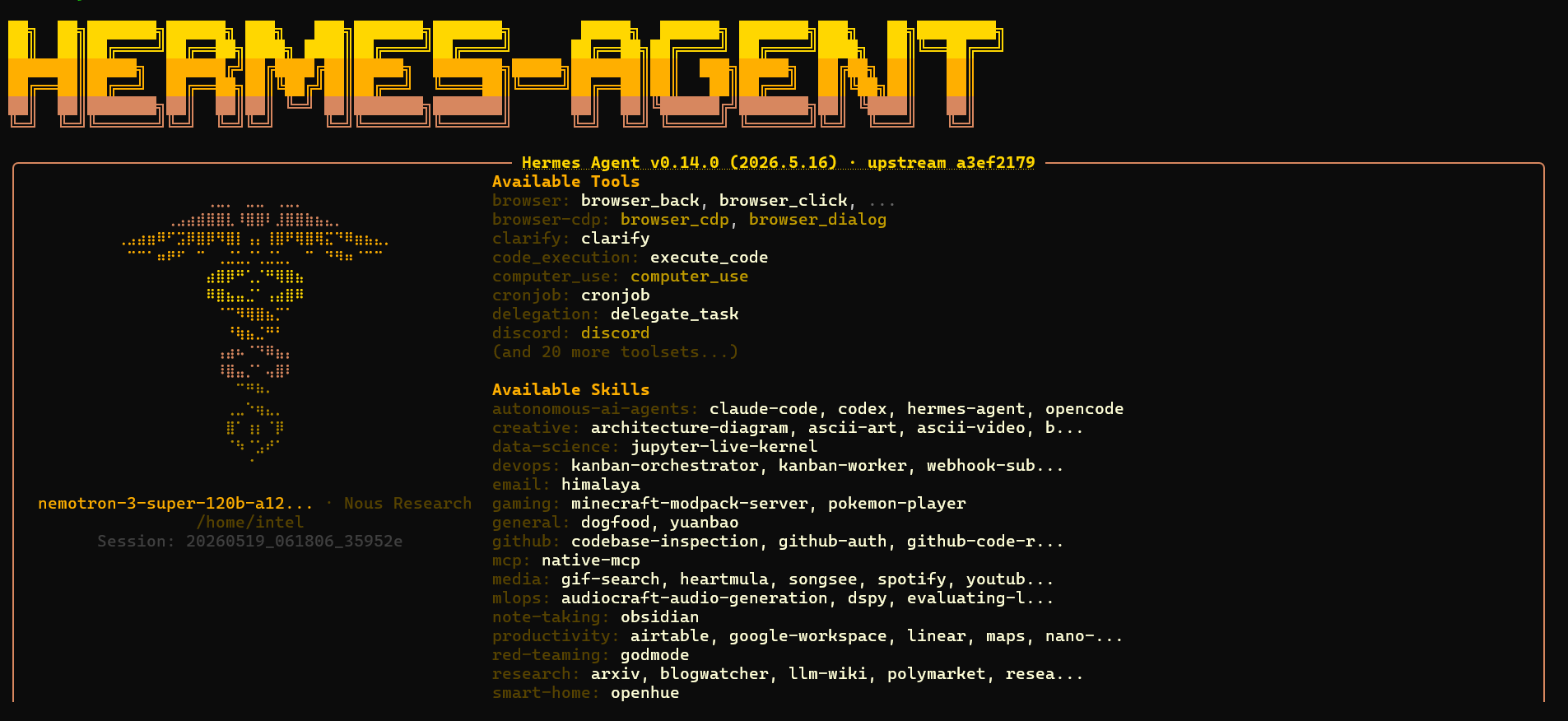 Hermes Agent Startup Screen